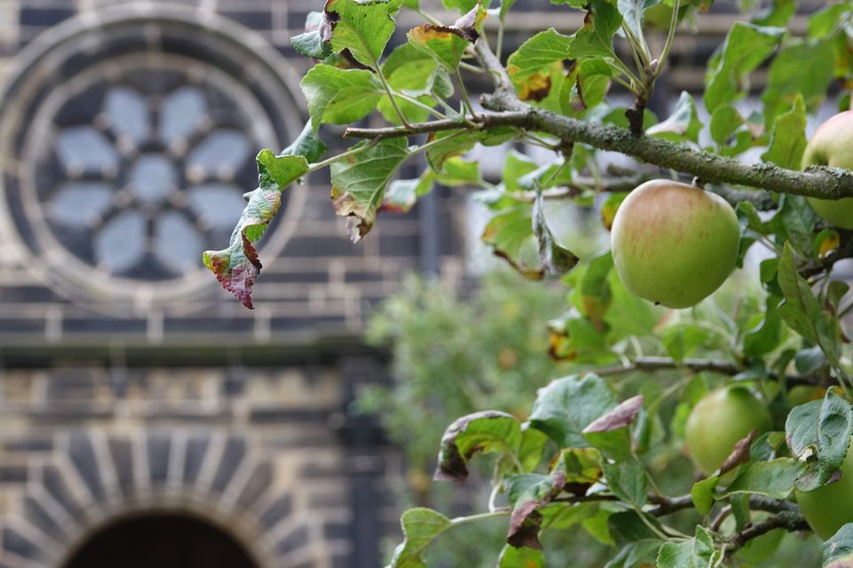 Apple Day Festival at NT East Riddlesden Hall